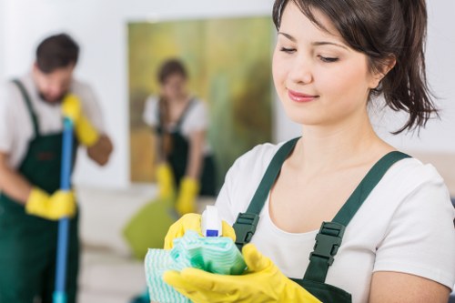 Setup of a carpet cleaner rental for deep cleaning