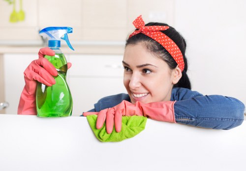 Eco-friendly window cleaning tools