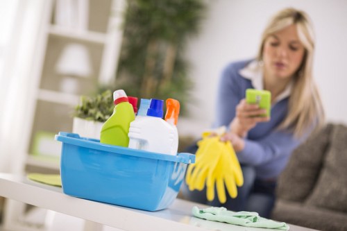 Step-by-step patio cleaning process using a carpet cleaner